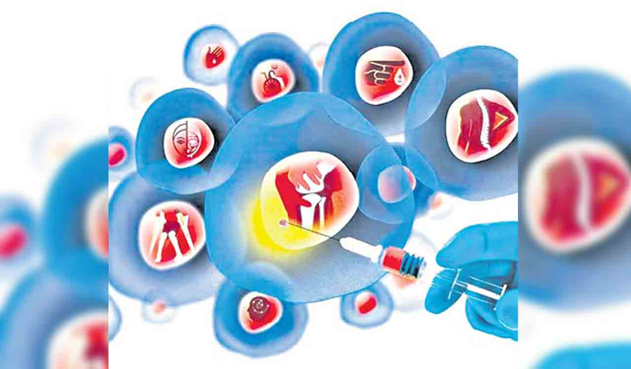 Health and Tech: Long road ahead for regenerative medicine