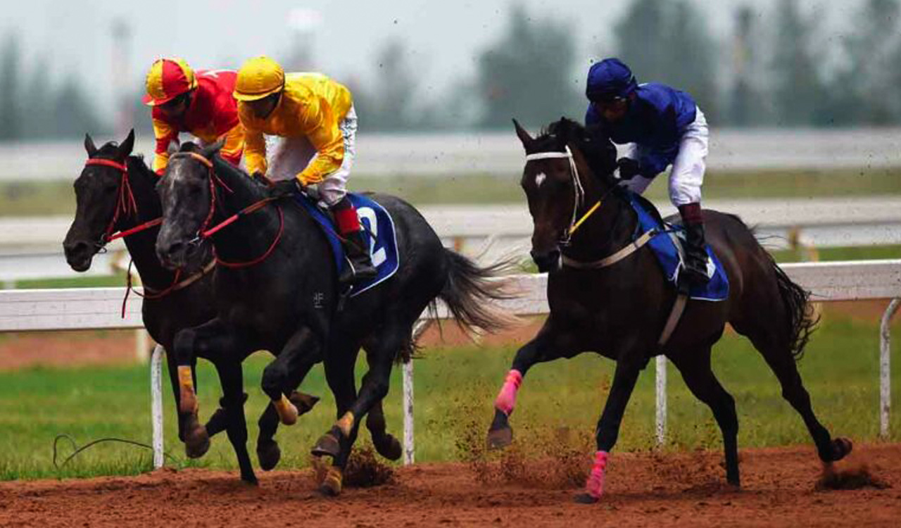 Horse Racing: Last Wish has the edge in Bengaluru feature