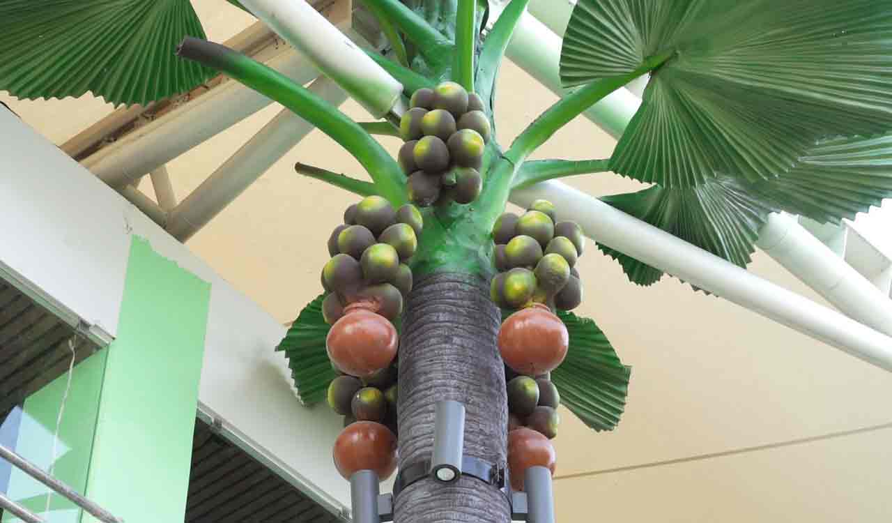 Neera café in Hyderabad to be open for public soon