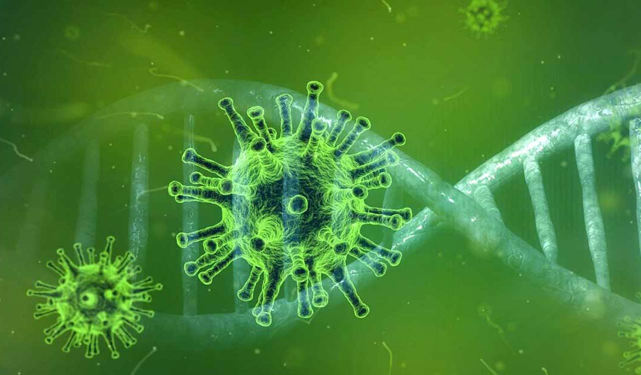 New Omicron subvariants account for nearly 70% new Covid cases in US