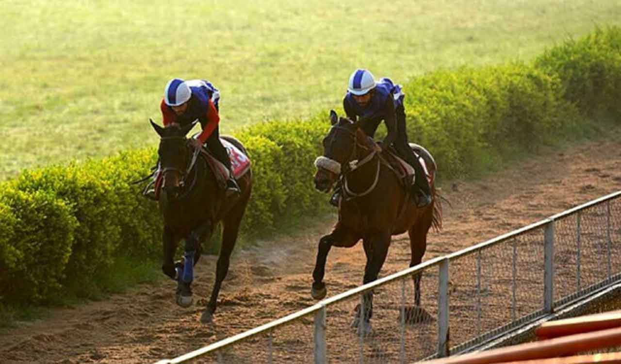 Horse Racing: Code Blue, Arthur and Only My Way shine in trials