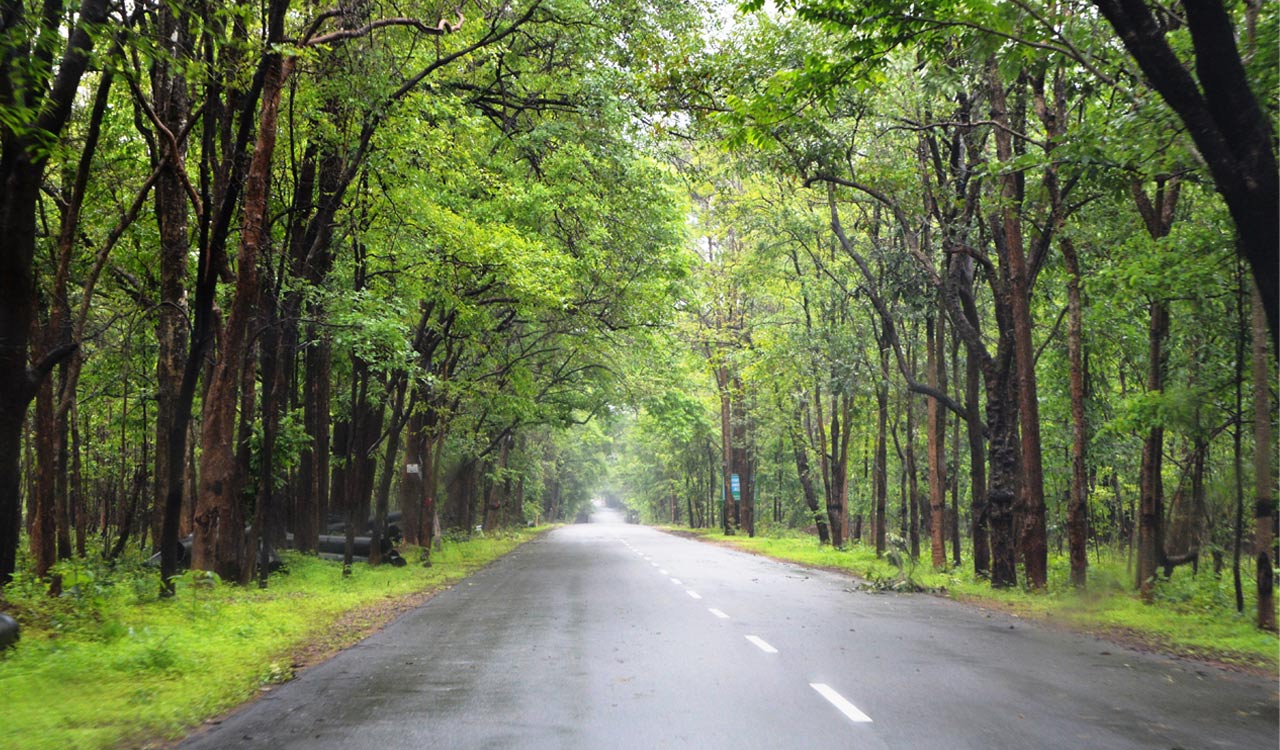 Telangana: Vehicles passing through Eturnagaram Wildlife Sanctuary to now pay EMC charges