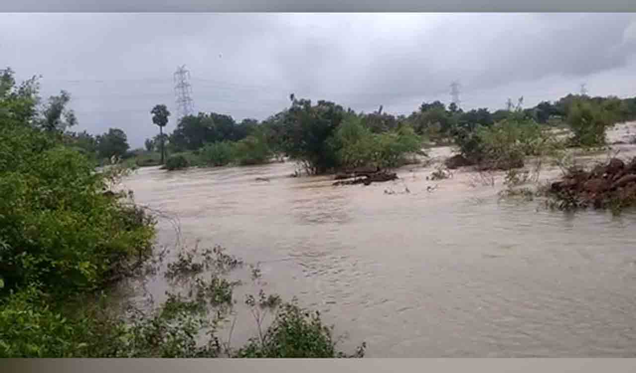 Cyclone Mandous: Traffic disrupted in AP’s Venkatagiri-Gudur highway in Nellore