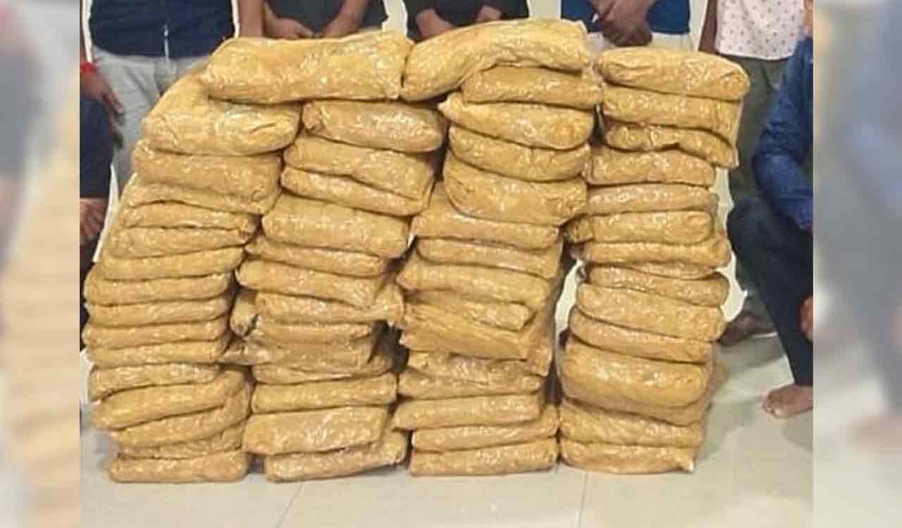 Vizag Police seize 124 Kg Cannabis; seven persons arrested