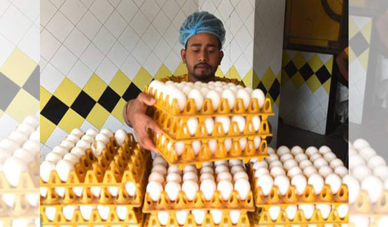 Telangana: Spurt in price of eggs as demand rises for New Year cakes