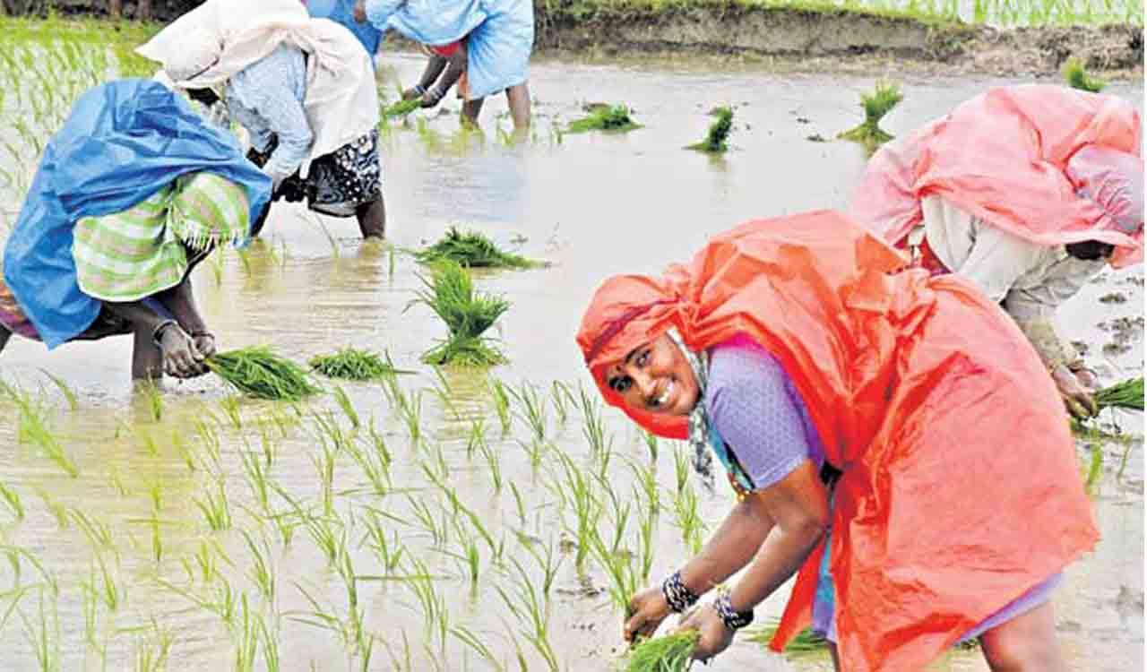Good days ahead for Telangana’s farmers as tanks, reservoirs brim with water