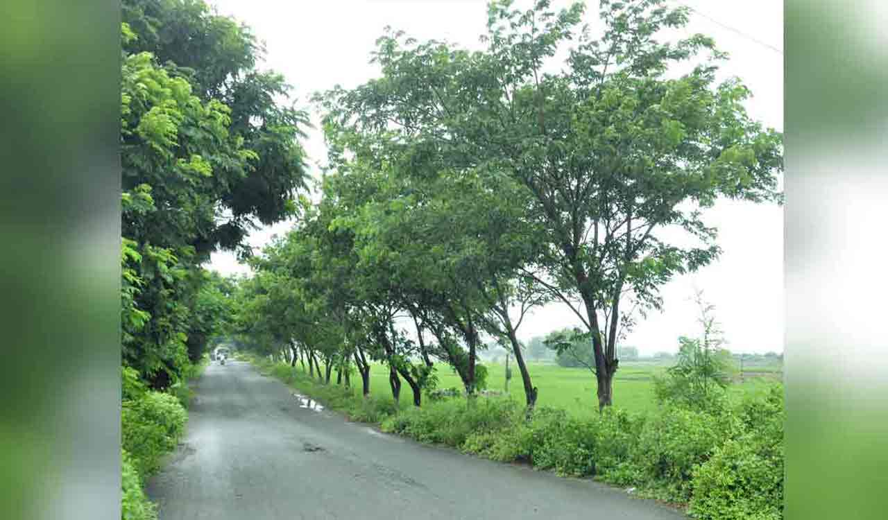 More States seek Telangana’s guidance in green rejuvenation