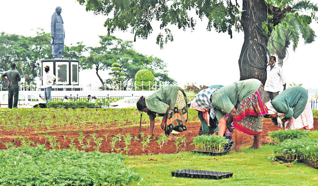 Telangana surpasses Haritha Haram target