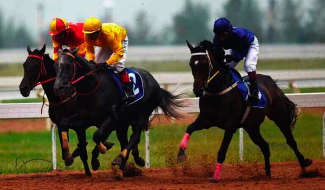 Horse Racing: Corfe Castle has the edge in Hyderabad feature