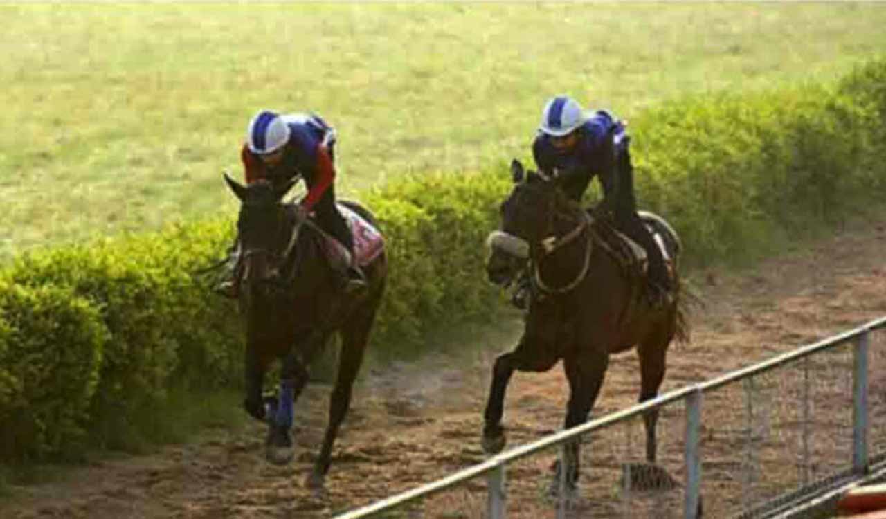 Horse Racing: Exclusive Spark shines in trials