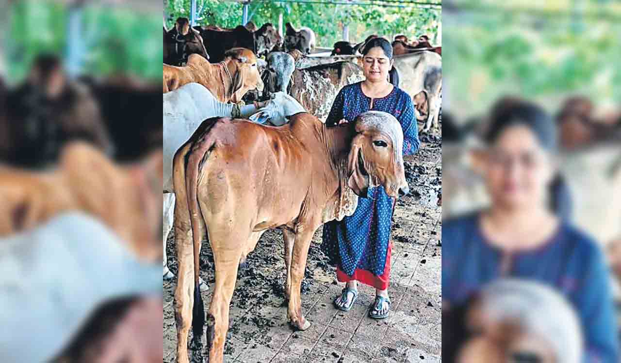 Women entrepreneur who turned dairy start-up into success