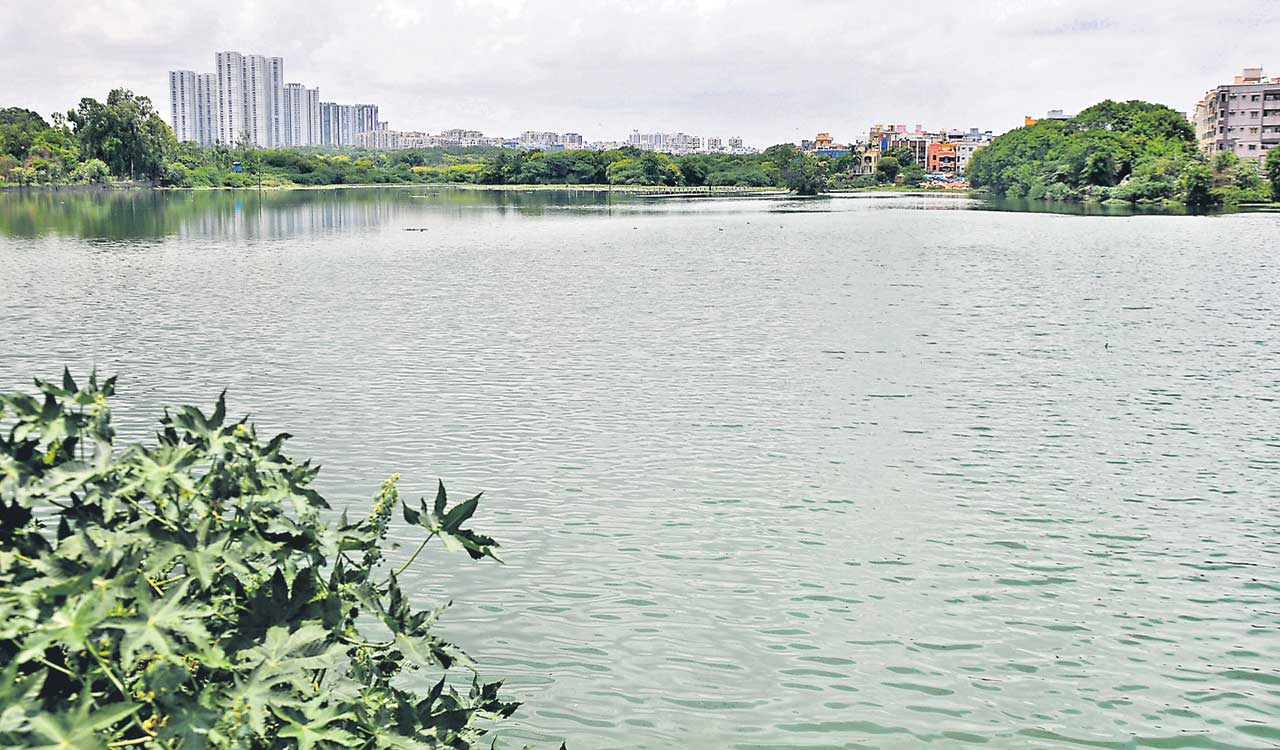 HMDA to take up lakefront development for Rangadhamuni Cheruvu