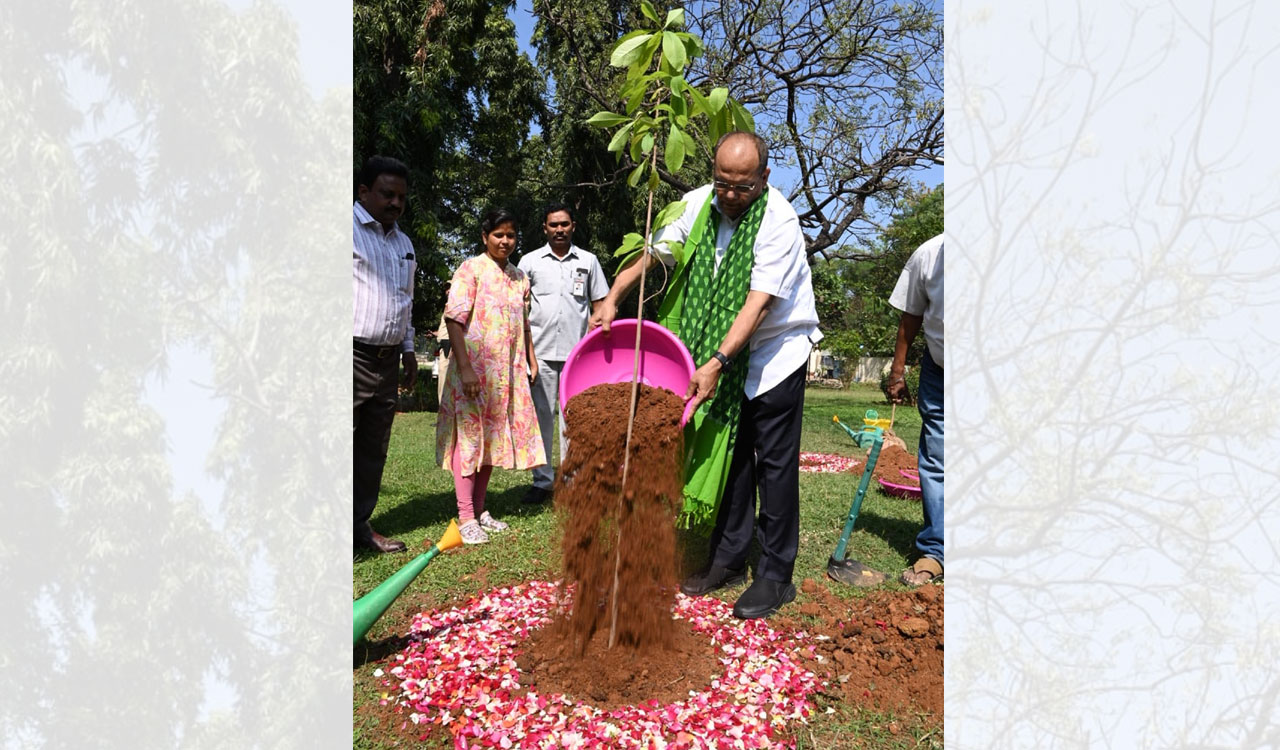 Telangana Cs Somesh Kumar Takes Part In Green India Challenge-telangana 