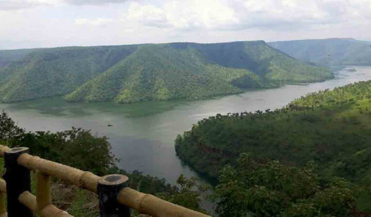 Tiger stay packages back at ATR, bookings to commence from Jan 26