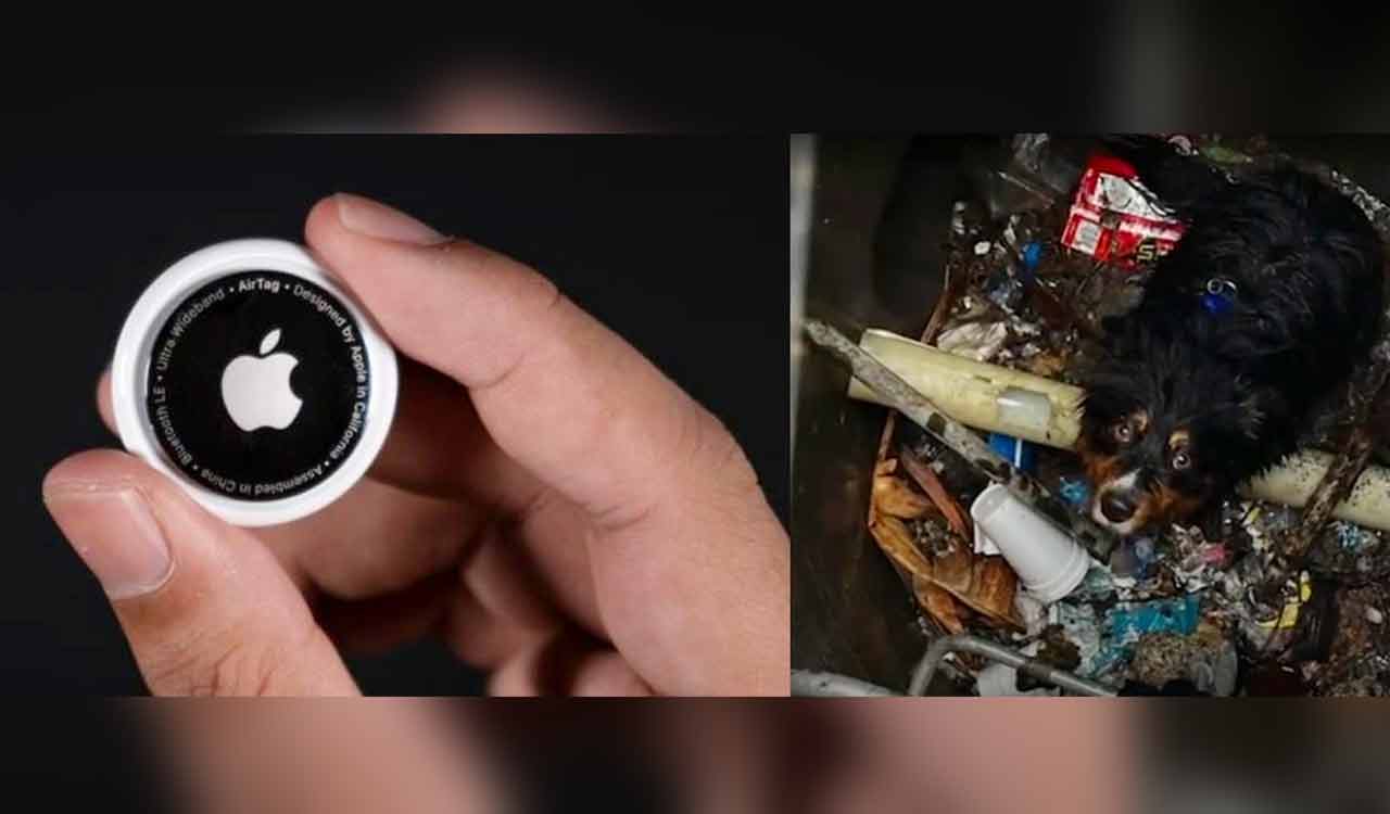 AirTag helps rescue dog lost in California floods