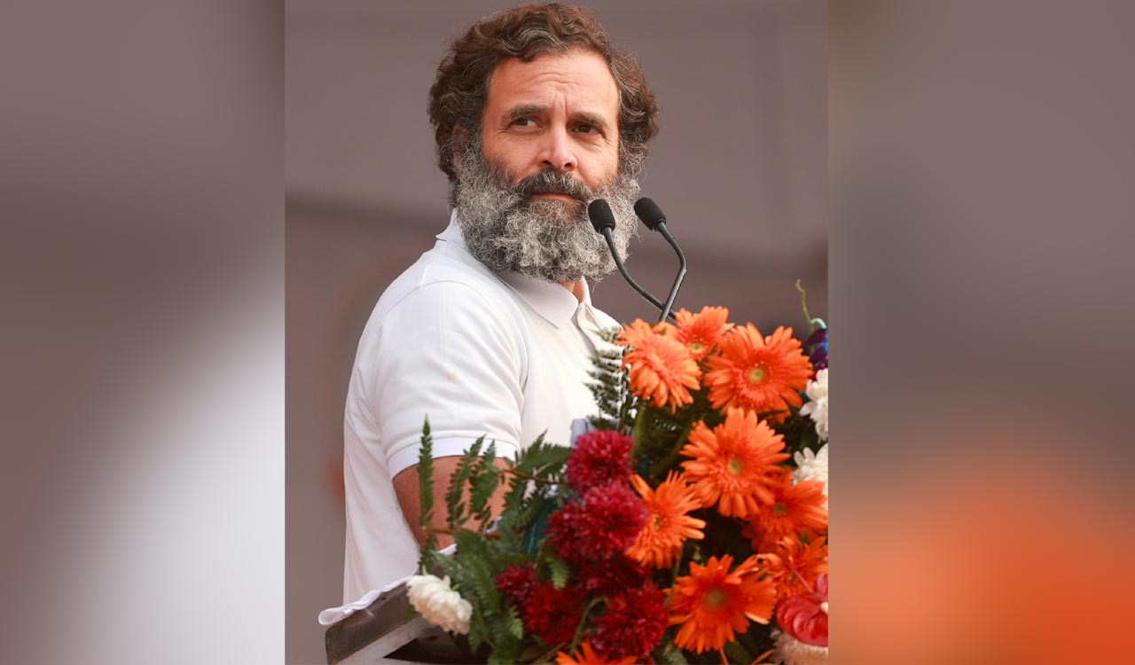 Amid Bharat Jodo Yatra in Karnal, Rahul Gandhi watches Kabbadi match