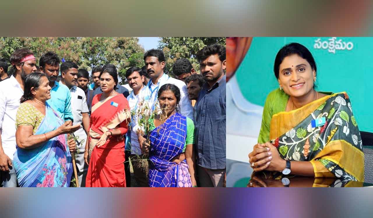 As Sharmila prepares to resume walkathon, she emerges as a challenger