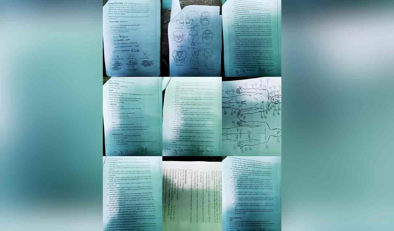 No sign of her having alcohol in autopsy report, claims Anjali’s family