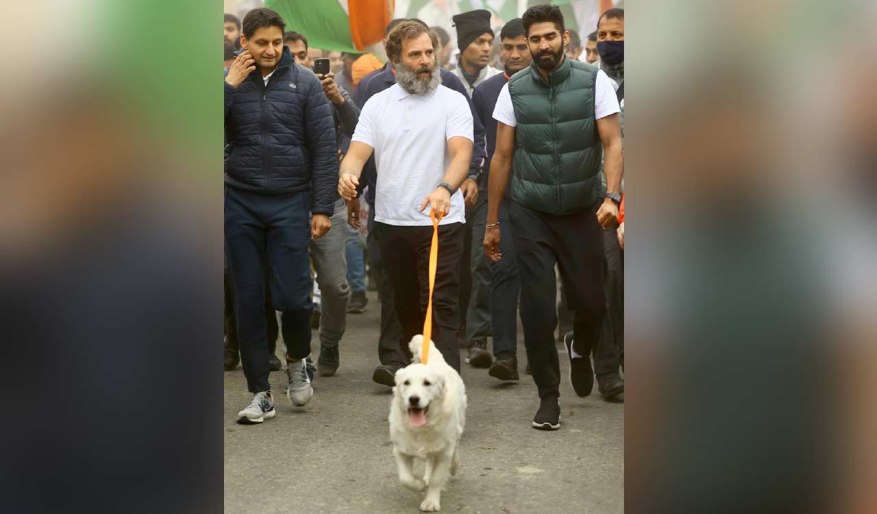 Bharat Jodo Yatra reaches Karnal