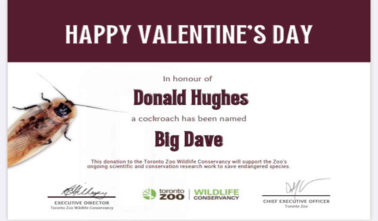 This Canada Zoo will let you name cockroach after your ex for just Rs 1,500