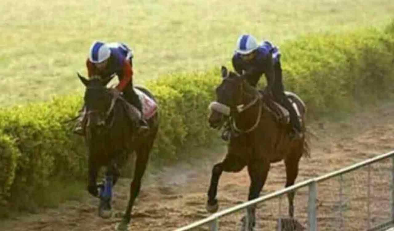 Horse Racing: Saigon fancied for Chennai feature