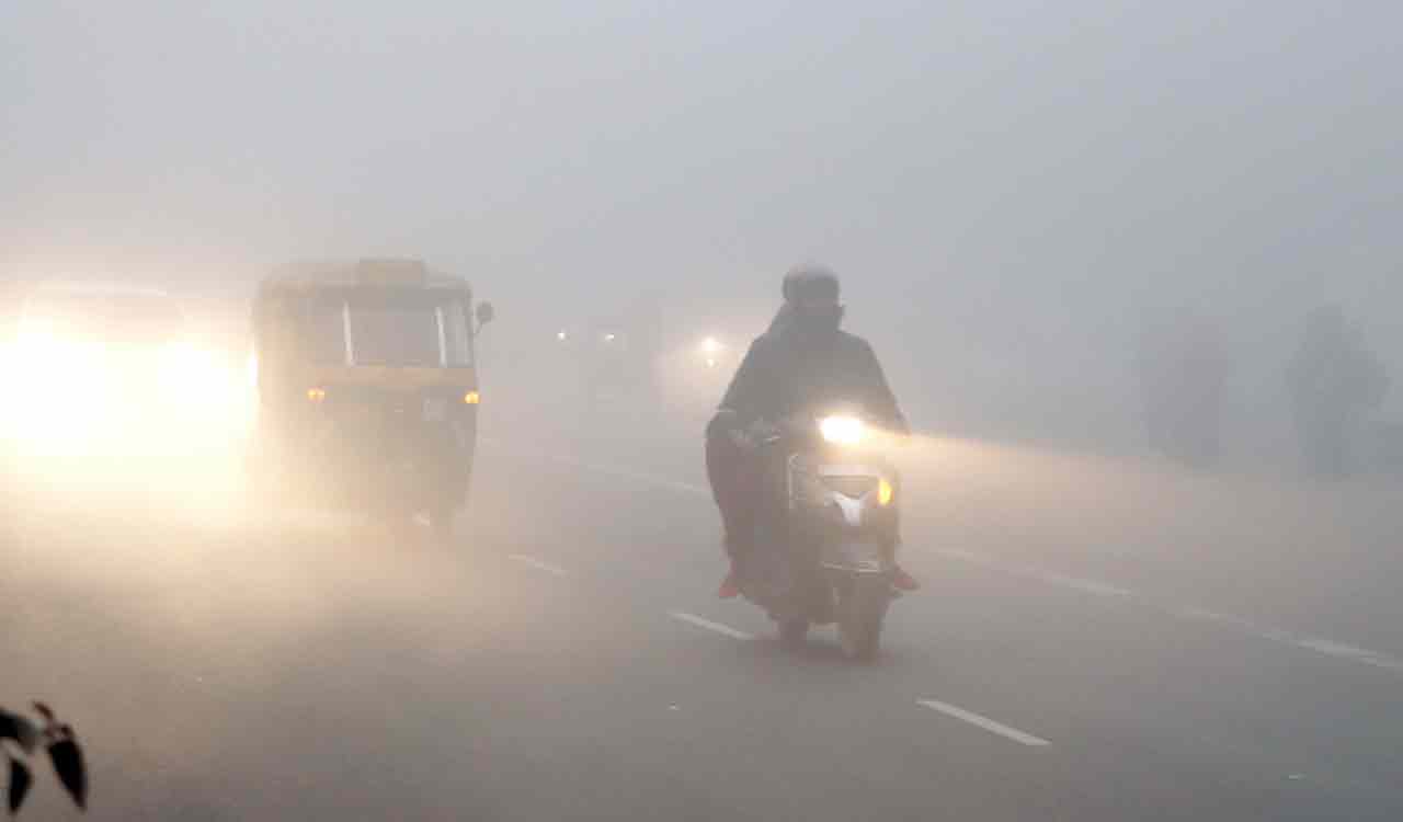 Cold wave conditions prevail in Delhi, minimum temp recorded at 2.4 ...