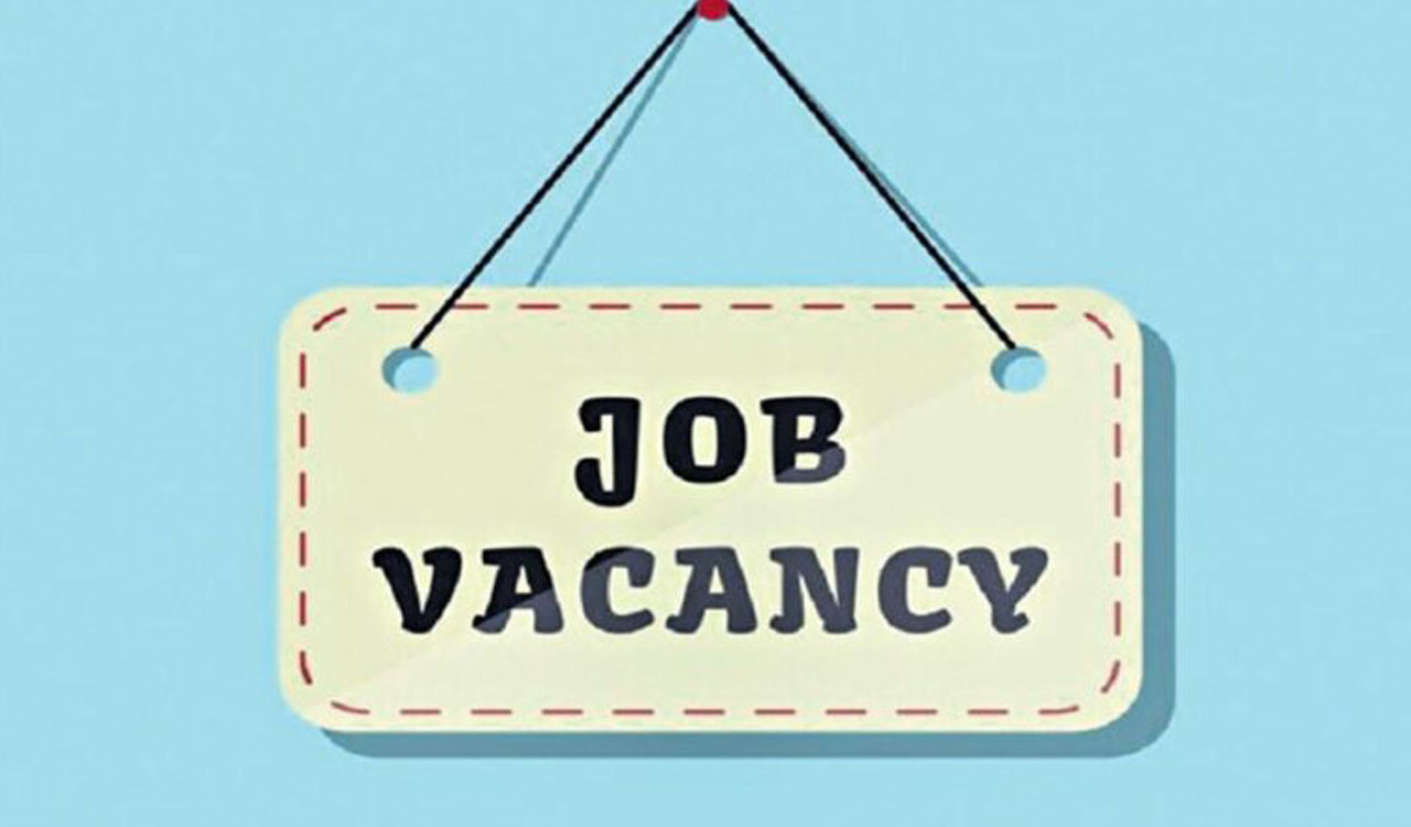 DEET: Instantly apply for jobs, receive alerts