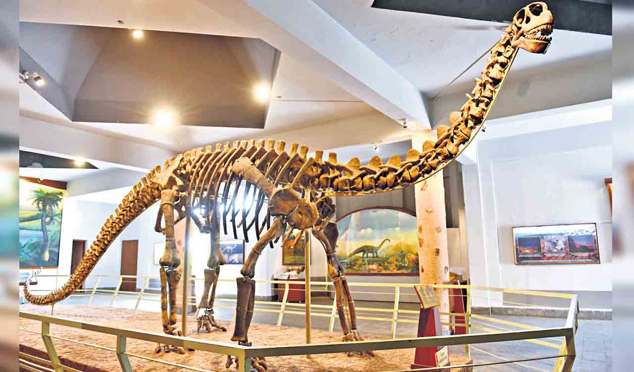 Travel back into the Jurassic era