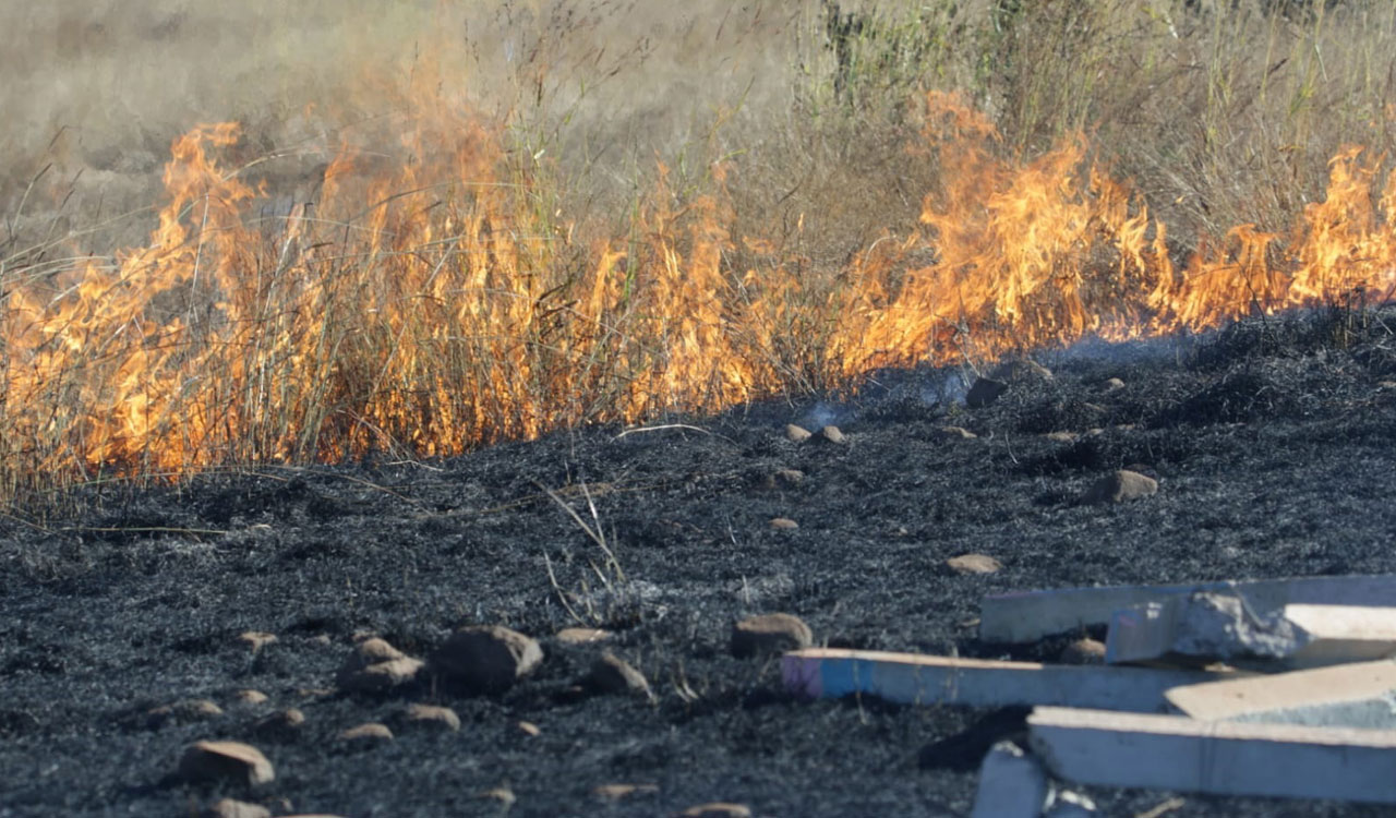 Fire spreads across Yenkathala grassland in Vikarabad district, posing threat to flora-fauna