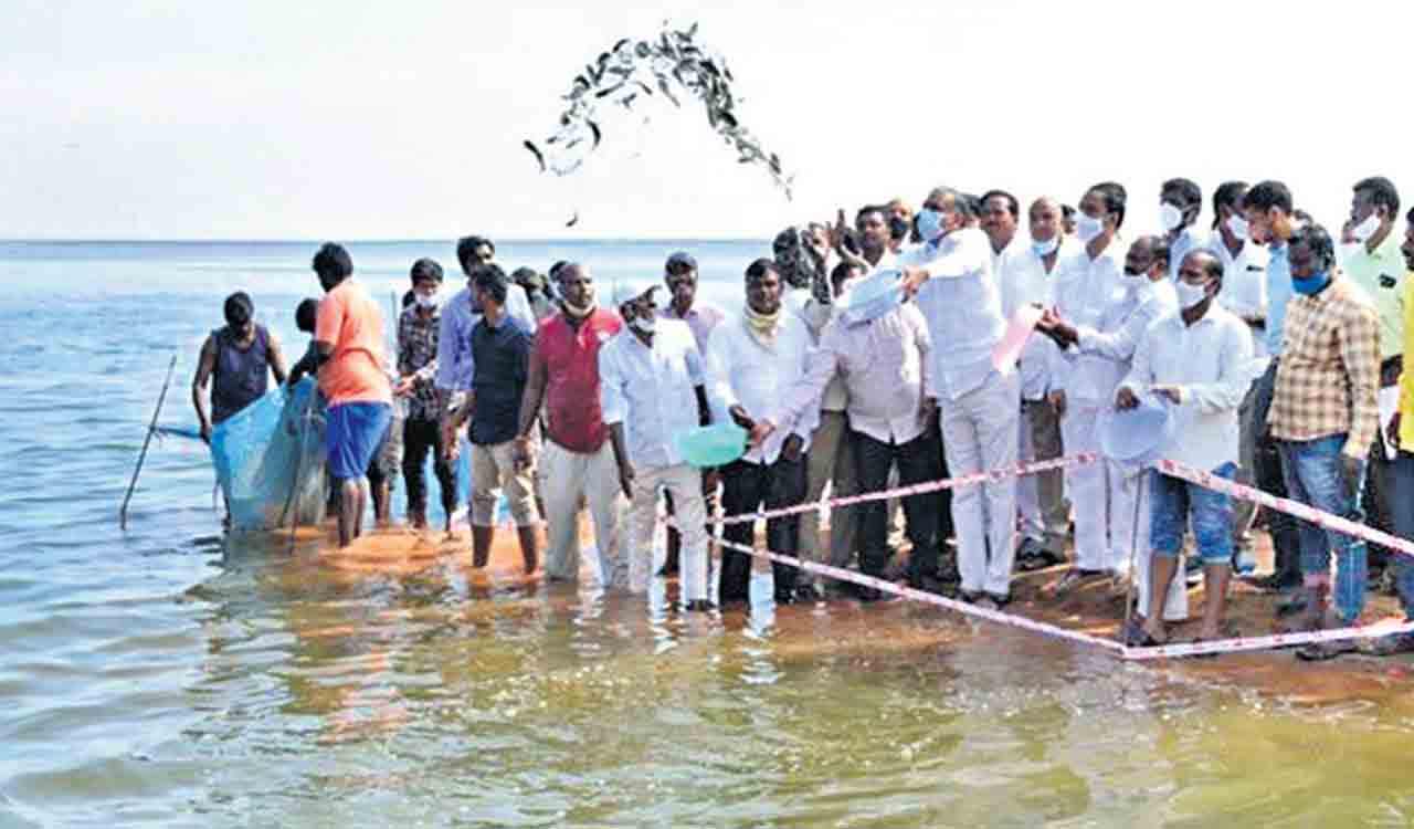 Telangana: Enrollment for new fishermen co-operative societies begins ...