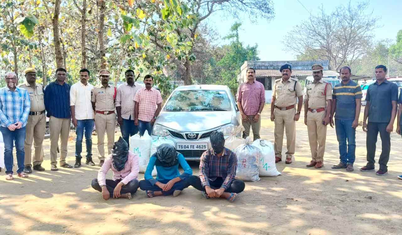 Warangal: Inter-state ganja peddling gang busted, weed worth Rs 17.30 lakh seized