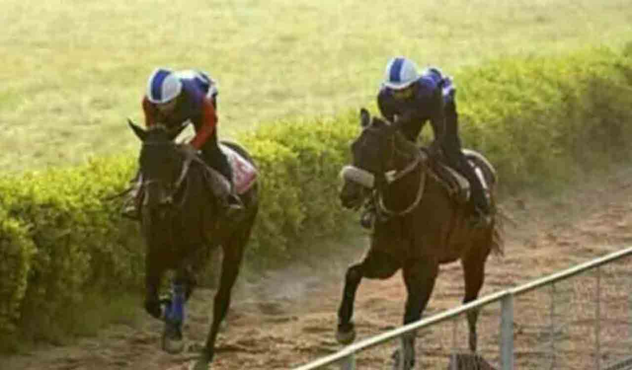 Priceless Gold has the edge in Hyderabad feature