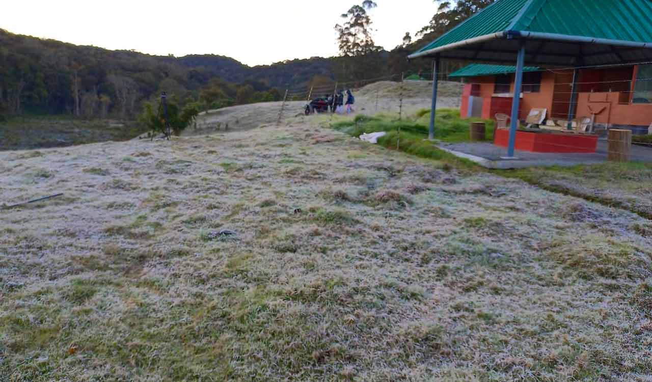 It’s snow time in Munnar, the ‘Kashmir’ of South India