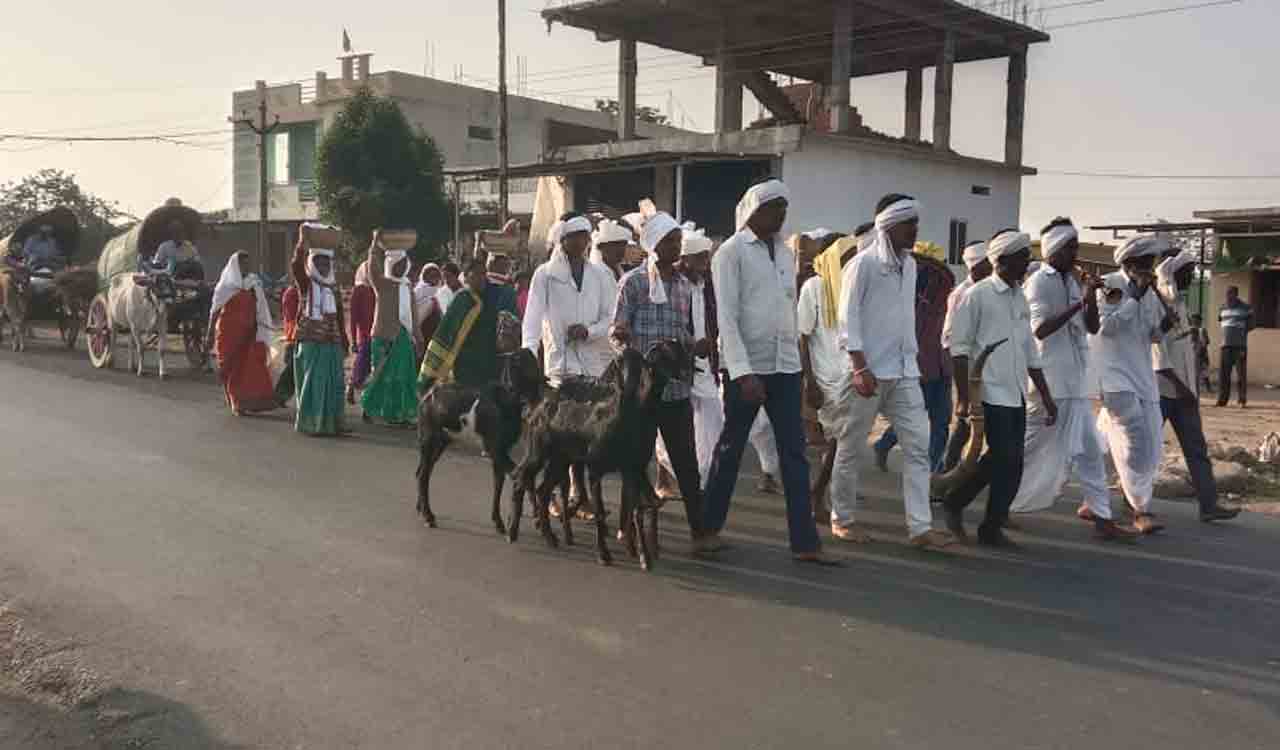 Adilabad: Mesrams camp under banyan trees at Keslapur