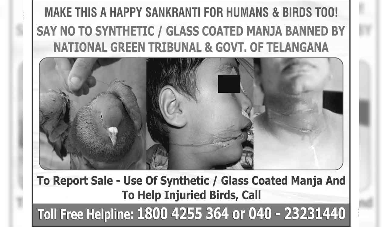 Telangana: 1,391 kgs of synthetic manja worth Rs 24 lakh seized