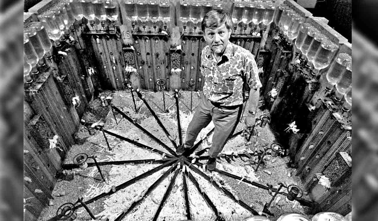 Health and Tech: Mice paradise that turned into a hell