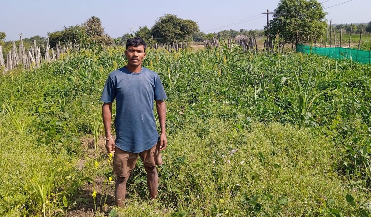 Telangana: Bhupalpally swears by millets as farmers turn to cereal grains