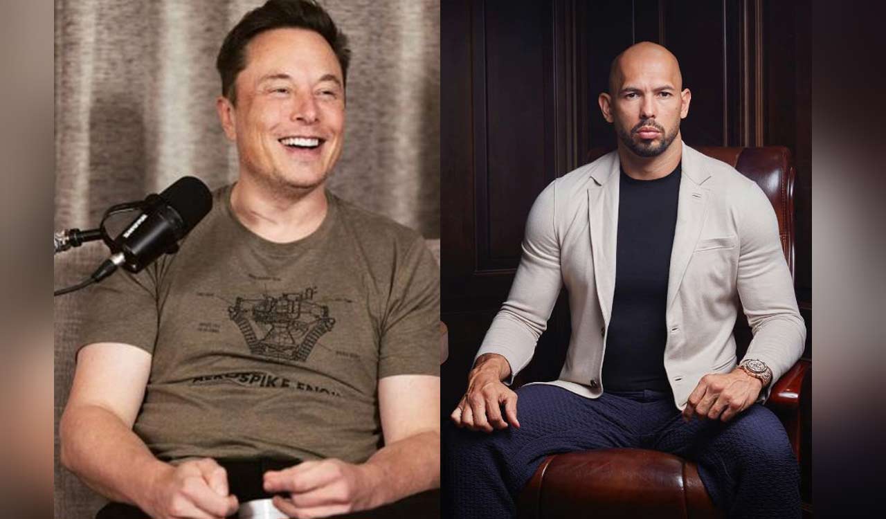 Musk trolls Andrew Tate with pizza tweet