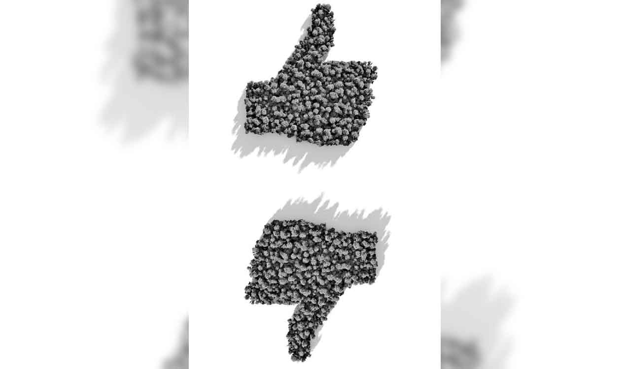 Opinion: Giving rights to Nature