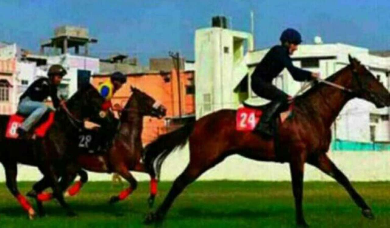 Horse Racing: Queen Envied wins Golconda Oaks