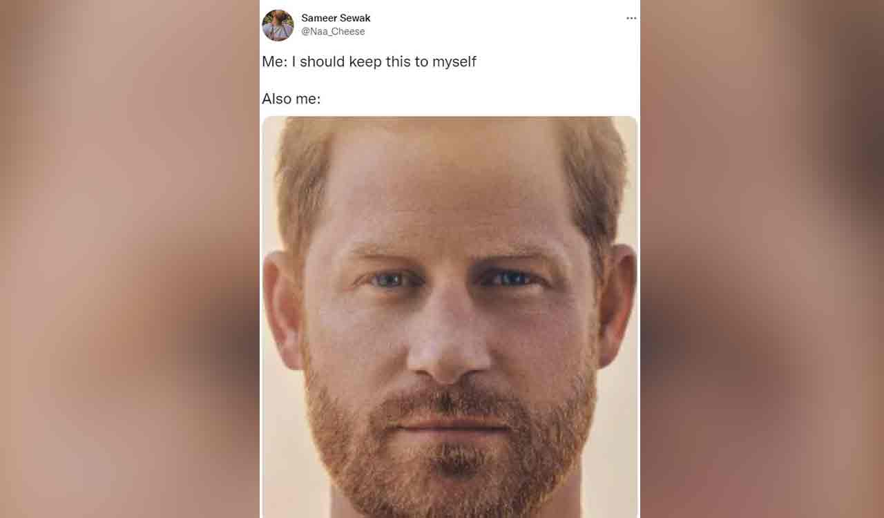 Prince Harry’s book cover of ‘Spare’ is now meme on internet