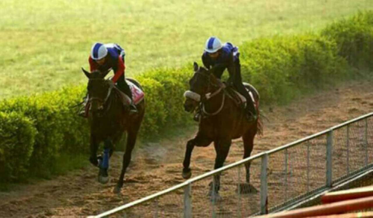 Horse Racing: High Command works well in morning trials