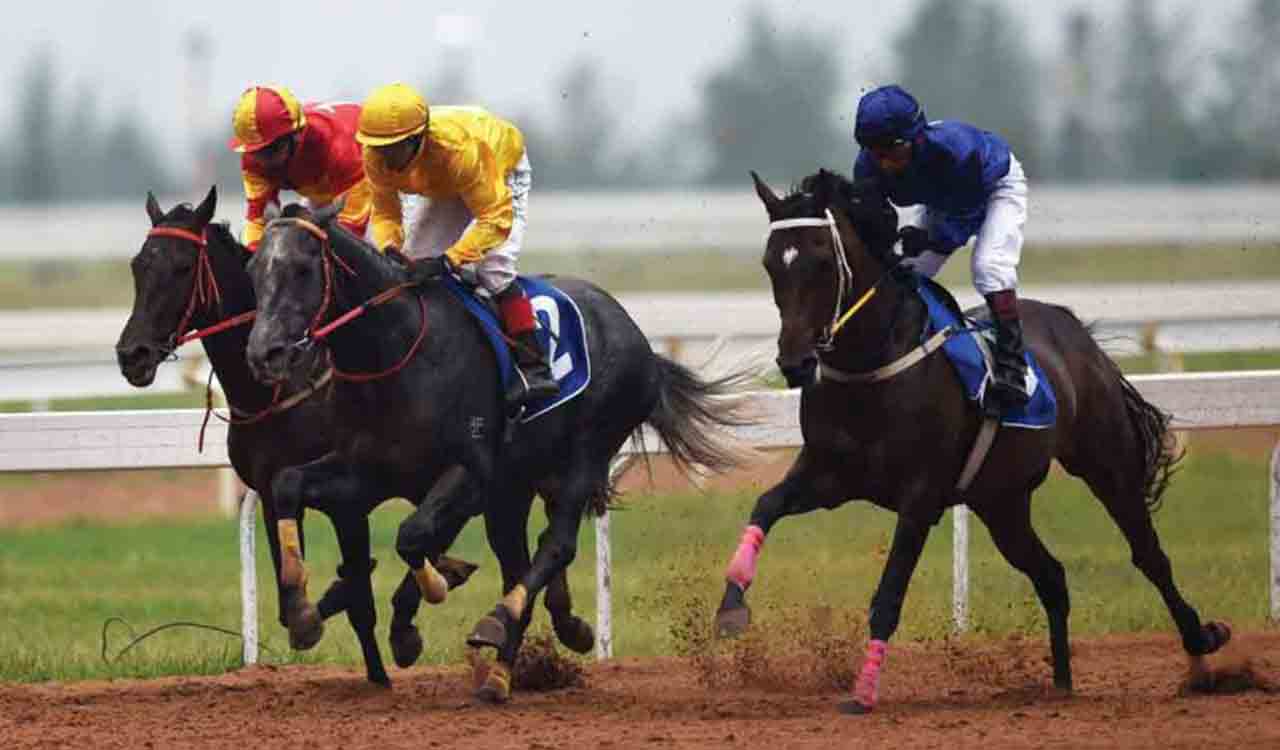 Horse Racing: Sopranos shines in morning trials