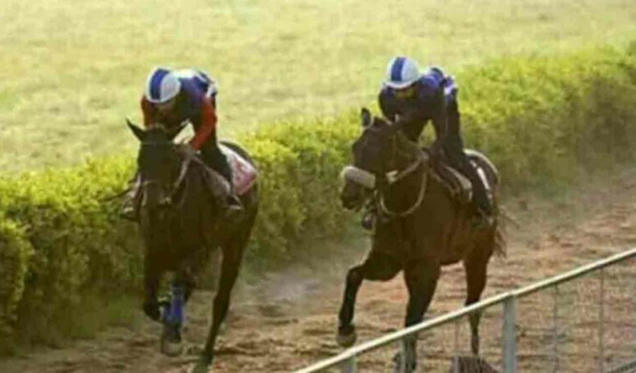 Horse Racing: Brave Trooper has the edge in Chennai feature