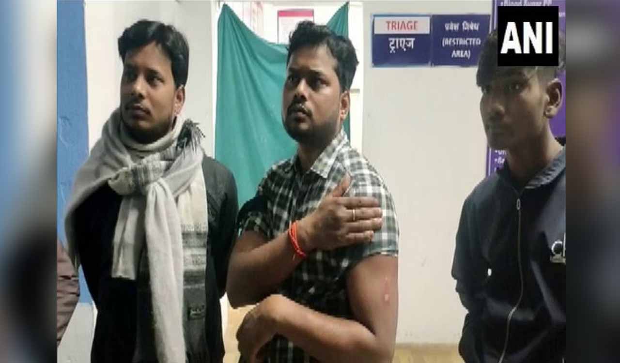 Stray dog goes on biting spree in Bihar, attacks over 80