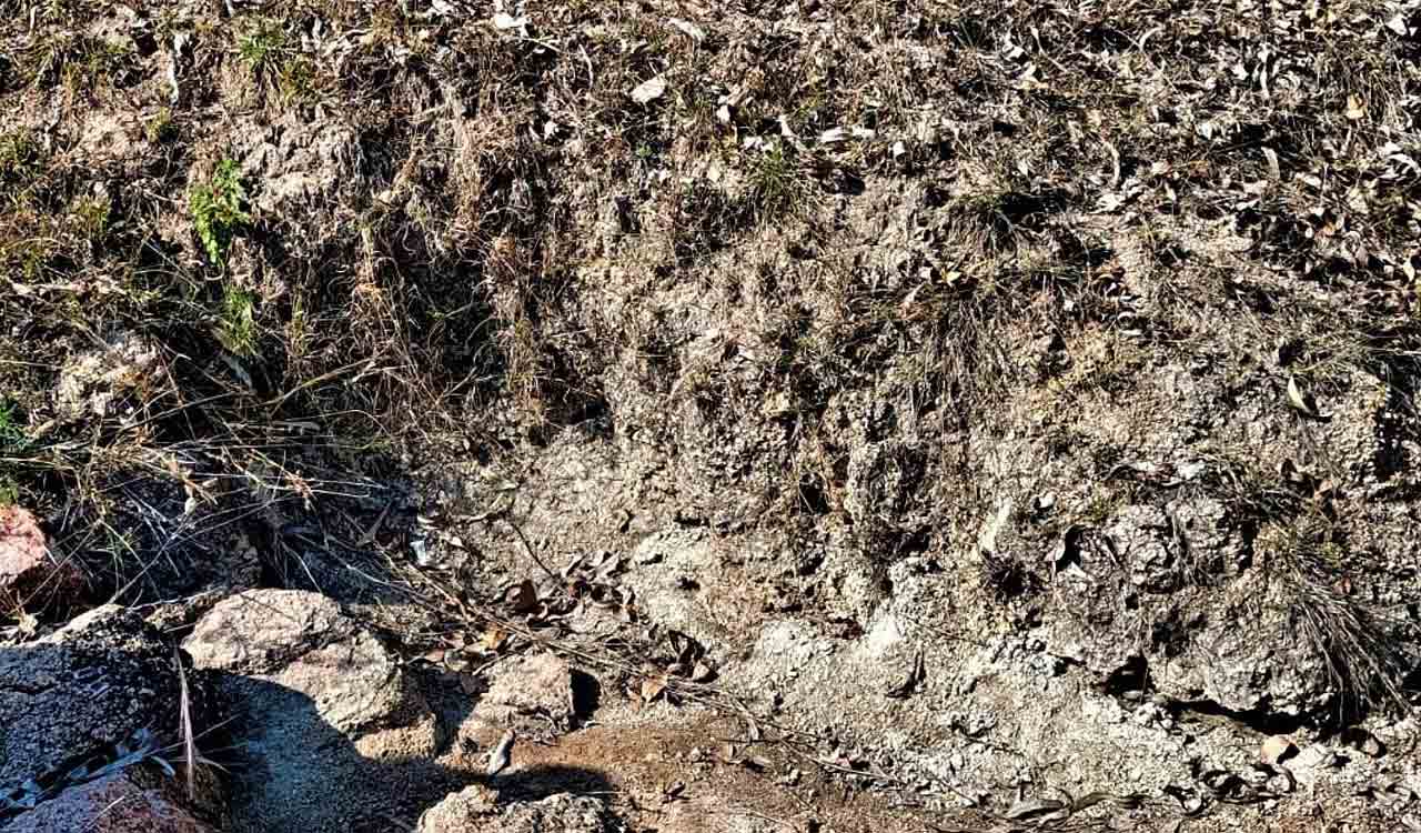 Indonesia’s Toba volcano ash mounds found in Medak