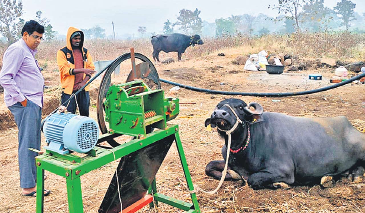 Adilabad: ITDA-Utnoor Encourages Tribals To Reap Benefits Of Dairy ...