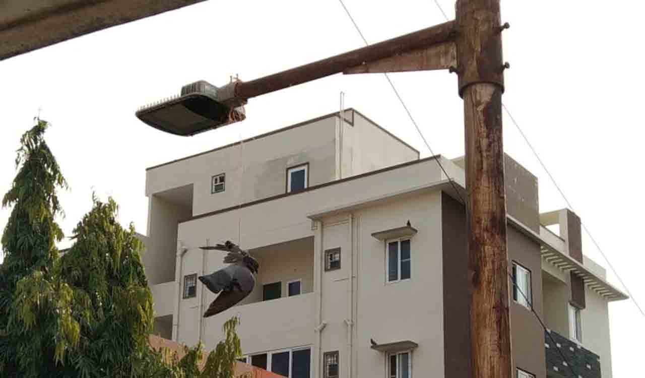 Hyderabad: Organisations raise awareness against use of Chinese manja