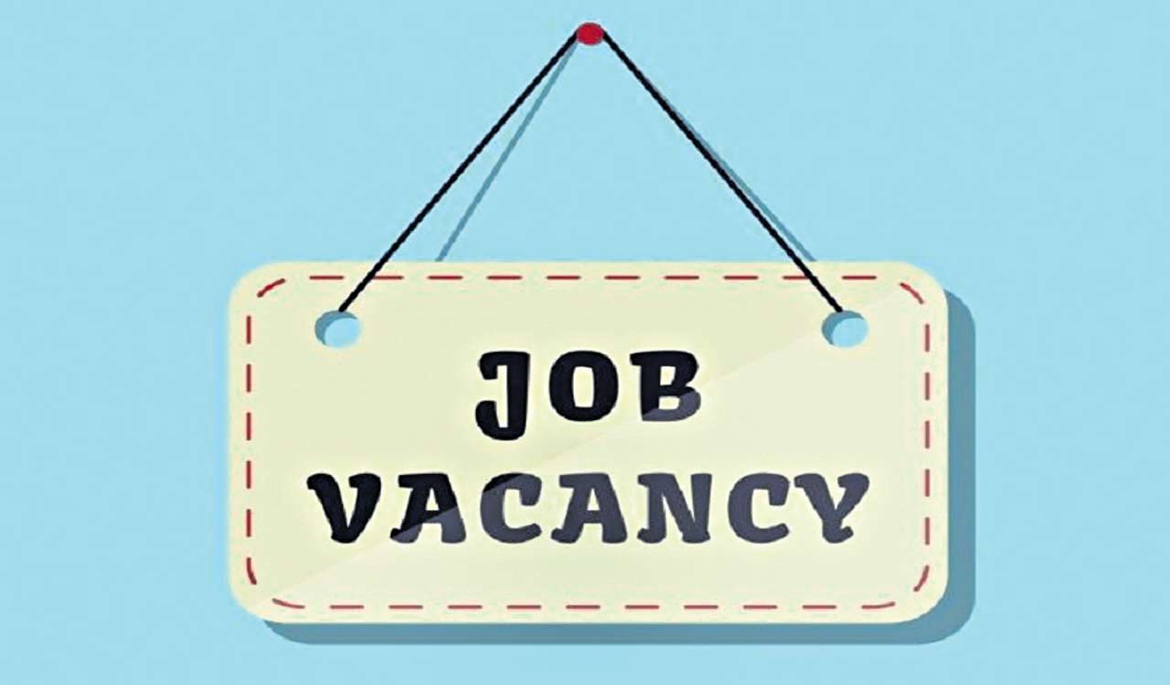 DEET: Job openings for digital marketing executives