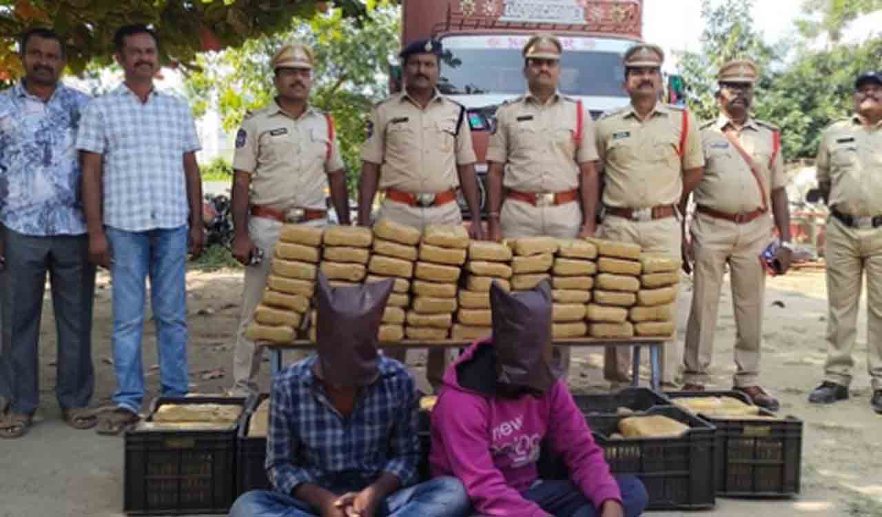 Kothagudem: Ganja worth Rs 53.15 lakh seized, two arrested